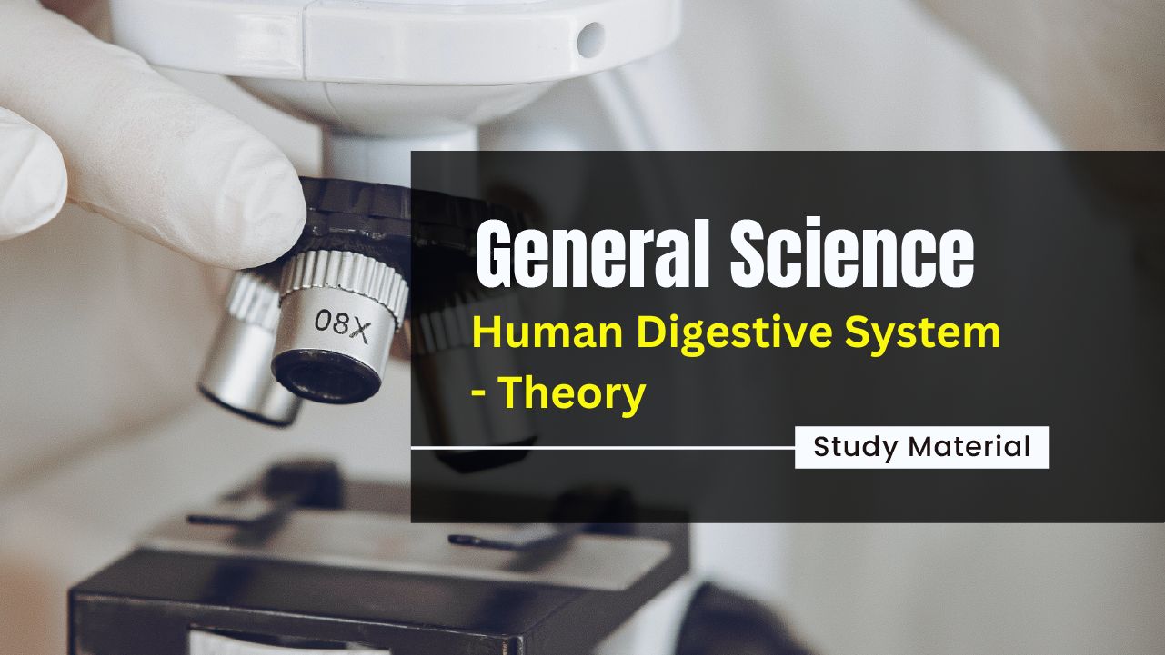 Learn the key concepts of Science topic - Human Digestive system