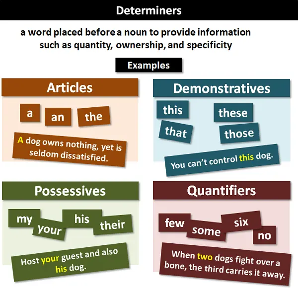 Nouns - Definition, Types and Rules with Examples in English Grammar